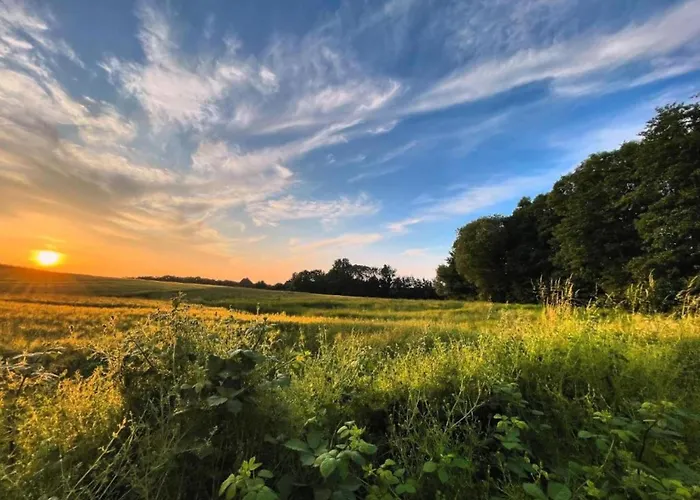 Moderne In Graal-mueritz, Strandnah 格拉尔-米里茨