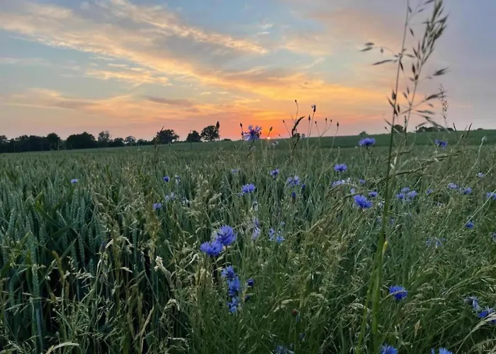 Moderne In Graal-mueritz, Strandnah *